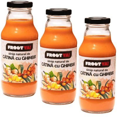 Sirop raw de catina & ghimbir, pachet 3x